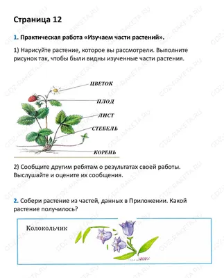 ВПР Окружающий мир 4 класс. 100 типовых заданий - Издательство «Планета»