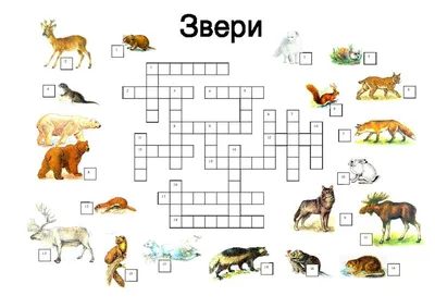 Ответы по окружающему миру 1 класс рабочая тетрадь Плешаков 1 часть  страница 52