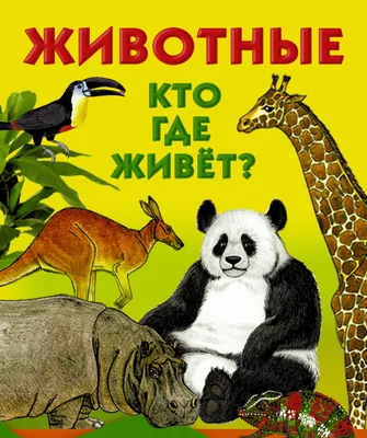 Что? Где? Когда? Викторина по окружающему миру - презентация онлайн