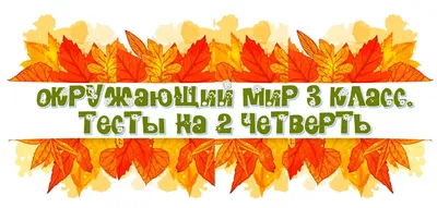 Страница 51 — ГДЗ по Окружающему миру для 2 класса Рабочая тетрадь Плешаков  А.А. Часть 1. - ГДЗ РЕД