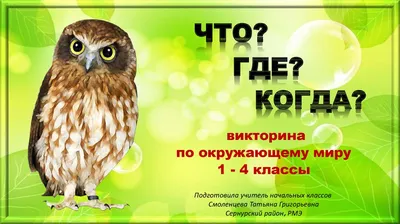 Тесты по окружающему миру с ответами по учебнику УМК «Школа России» А. А.  Плешакова для 3 класса на 2 четверть