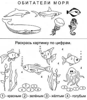 Комплект плакатов А3. Образовательные плакаты по окружающему миру для 4  класса - купить с доставкой по выгодным ценам в интернет-магазине OZON  (808209149)