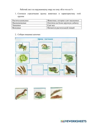 Рабочий лист по окружающему миру на тему -Кто что ест?- worksheet | Live  Worksheets