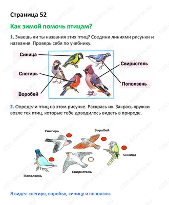 Иллюстрация 2 из 55 для Окружающий мир. 2 класс. Тестовые задания для  учащихся общеобразовательных организаций. ФГОС - Поглазова, Шилин |  Лабиринт - книги. Источник: Лабиринт