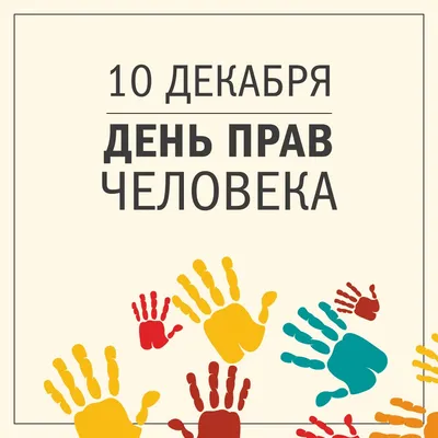 Татьяна Москалькова представила отчет о деятельности Уполномоченного по правам  человека