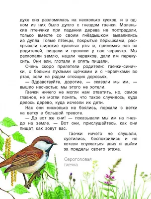 Плакат — Круговорот воды в природе | Чудесные Странички