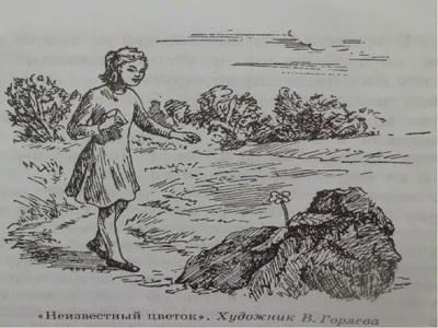 Напишите,пожалуйста,отзыв по плану "Неизвестный цветок". - Школьные  Знания.com