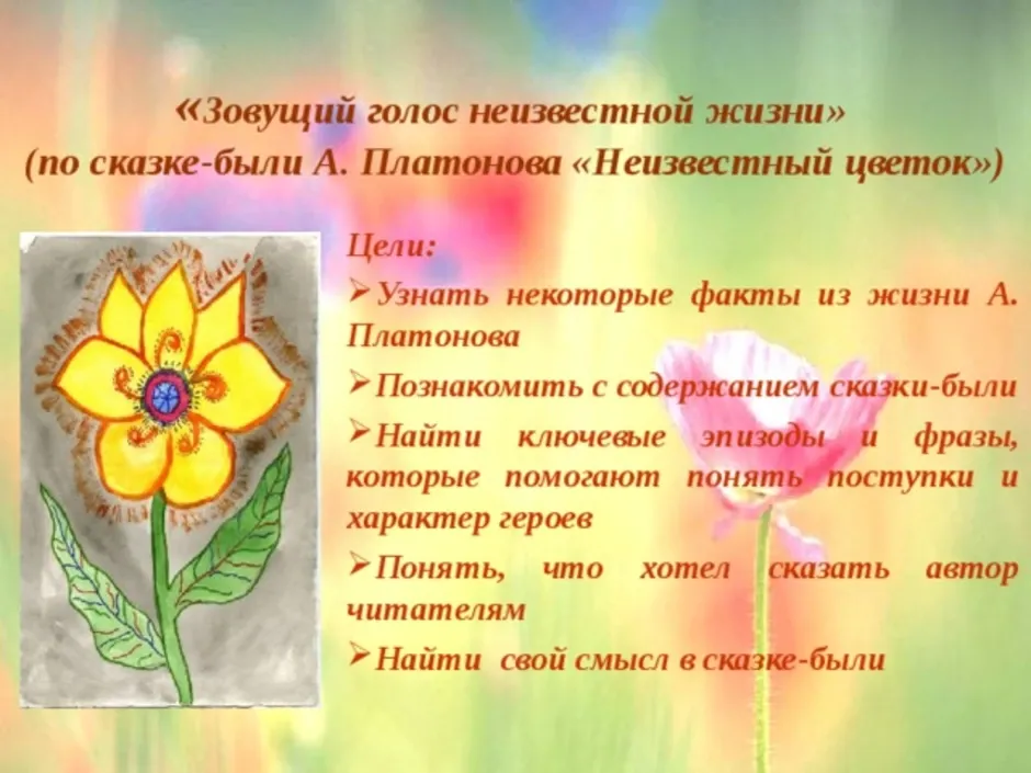 Рассказ неизвестный цветок 6 класс. План к рассказу неизвестный цветок Платонов 6. Рисунок неизвестного цветка. Иллюстрация к неизвестному цветку. Платонов а. "неизвестный цветок".
