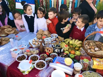 Какие виды школ бывают и как выбрать форму обучения ребенку