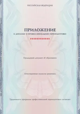 Профессиональные компетенции специалиста по социальной работе