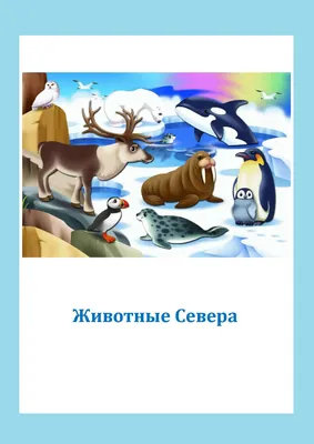 Папка-передвижка к лексической теме "Животные Севера" (подготовительная  группа) | Дефектология Проф