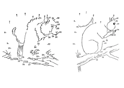 Рисунки по точкам 🐌