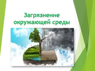 Ежегодно от загрязнения окружающей среды гибнет 9 млн человек —  исследование: Новости ➕1, 