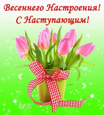 Как подготовиться к распродаже на 8 Марта: советы и стратегии