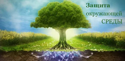 Встать на сторону природы. В мире пройдут акции по защите окружающей среды  | Природа | Общество | Аргументы и Факты