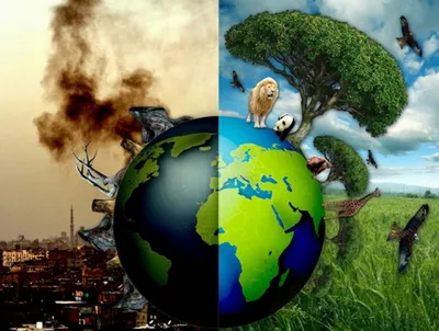 Защита окружающей среды | ОБСЕ