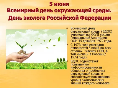 Защита окружающей среды: необходимо принять «зеленый» образ жизни и  механизм чистого развития | ОКРУЖАЮЩАЯ СРЕДА | Vietnam+ (VietnamPlus)