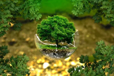 Защита окружающей среды Stabilus - экологичность и ответственность