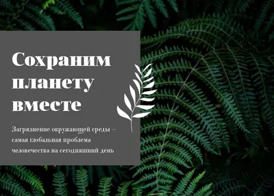 Круглый стол «Защита природы юга России: вызовы современности и поиск  решений» (онлайн)