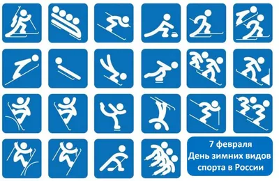 Топ-5 самых популярных зимних видов спорта в России | Новости 