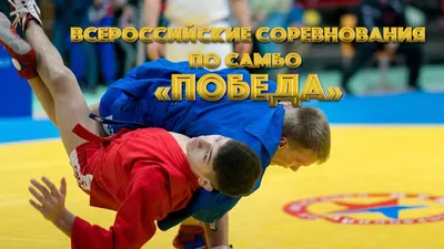 Всероссийские соревнования по самбо «Победа». Студия «Мой Спорт!» — все о  спорте в