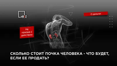 Сколько стоит почка - что будет, если ее продать?