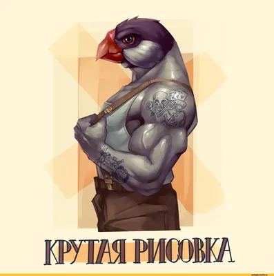 Кружка с прикольным принтом "Будь как голубь"/КР156733/Mug with a cool  print "be like a pigeon".330 мл | AliExpress