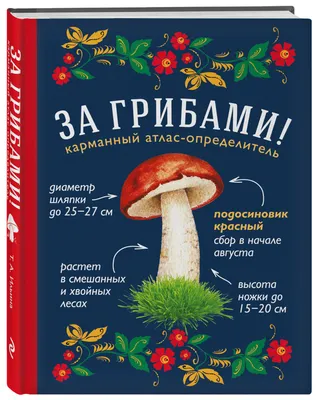 Меры профилактики отравления грибами-Управление Роспотребнадзора по  Кировской области