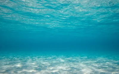 Сколько минут максимум человек может не дышать под водой — 