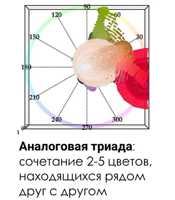 Как создать свою палитру цветов из фотографии в иллюстраторе  #Orlovillustrator - YouTube