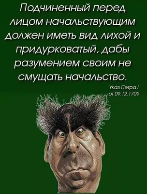 Разоблачение мифа об указе Петра I "О начальстве и подчиненных" | Не дай  себя обмануть | Дзен