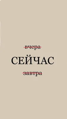 Колесики поддерживающие боковые 12"-20" в комплекте с кронштейнами и  крепежом, 110 мм (серебрист./желтый, NTW000000004) — купить в интернет  магазине, цена, фото, характеристики