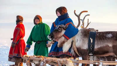 Поздравления со словами поддержки - 78 фото