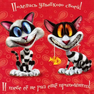 Поделись улыбкою своей... — смотреть онлайн на русском языке | Иудаизм и  евреи на Толдот.ру