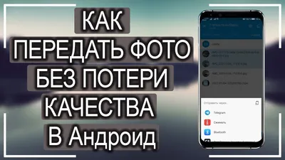 Как поделиться галереей с клиентом? – Справочный центр Vigbo