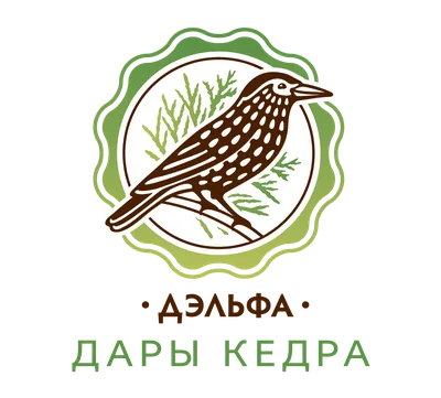 Как добавить в Историю Инстаграма несколько фото: фишки, быстрые и  необычные способы