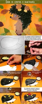Изумительные творения из семян арбуза и дыни (43 фото) » Идеи поделок и  аппликаций своими руками - Папикпро.КОМ