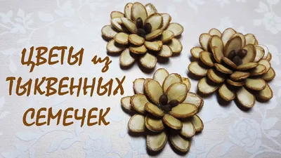 Поделки из тыквенных семечек - Идеи поделок