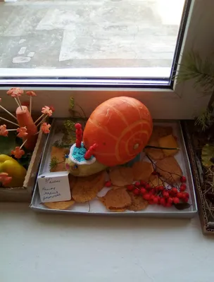 Осенние поделки из овощей и фруктов своими руками: больше 20 идей для сада  и школы