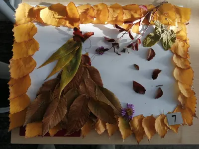 Осенняя поделка из природного материала "Здравствуй осень" – заказать на  Ярмарке Мастеров – MFL6YRU | Цветы сухие и стабилизированные, Москва