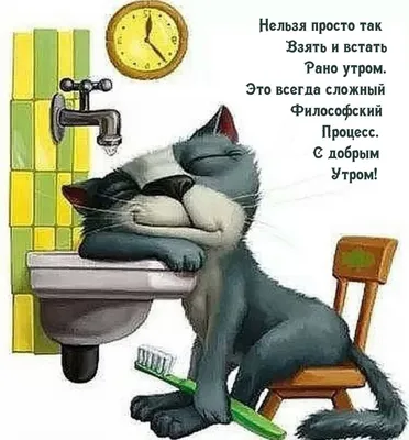 Тема 3: Ранний подъём, когда правильно вставать по утрам, распорядок дня,  бодрствование и сон. – | Школа-Ведаврата — эксперты и консультанты  Тантра-Джйотиш |