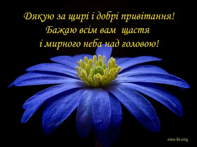 Подяка за привітання — листівки та картинки на вайбер, побажання мирного  неба українською - Телеграф