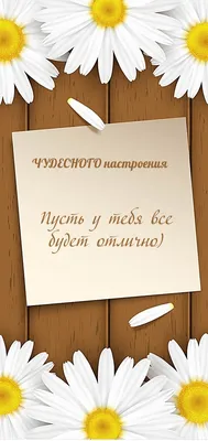 Прикольные картинки хорошего настроения (220 шт.)