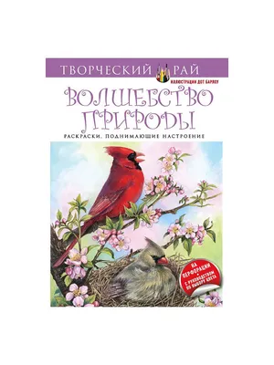 Совушки. Раскраски, поднимающие настроение (с перфорацией) Эксмо 2538479  купить в интернет-магазине Wildberries