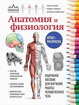 Книга. Атлас анатомии человека. Самусев Р.П. Агеева В.А. купить в Колледже  Вейдера по цене 950 рублей