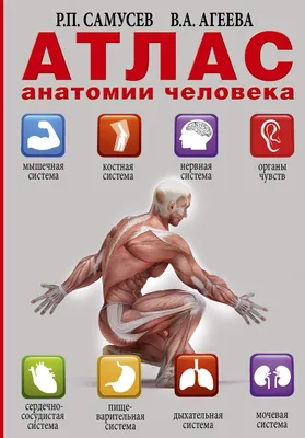 Анатомия человека. Атлас в 3-х томах. Том 3. Неврология, эстезиология -  Колесников Л.Л., Купить c быстрой доставкой или самовывозом, ISBN  9785970466278 - КомБук ()