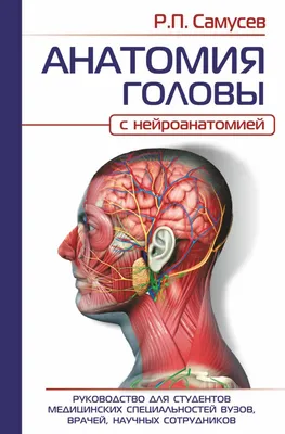 Анатомия человека: атлас-раскраска. Уинн Кэпит, Лоуренс Элсон | отзывы