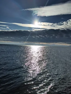 Владивосток-в первую очередь город у моря-океана (фото подруги) | ММВММ |  Дзен