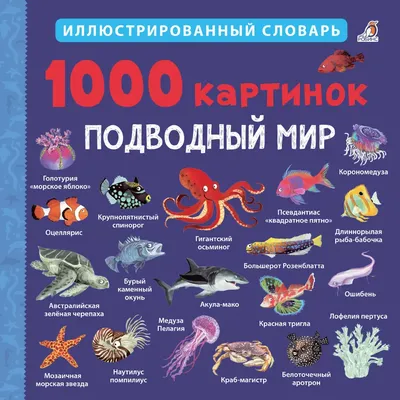 Морские обитатели 🐬 Подводный мир 🐠 Развивающие мультики 🐟 Для самых  маленьких - YouTube