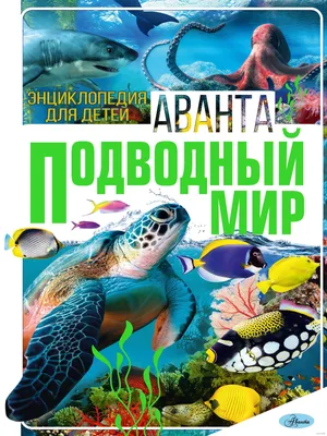 Русалочка и ее друзья: играем в подводный мир | БУДИНОК ІГРАШОК